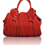 DIVA LUXURY RED LEATHER BAG